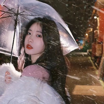 巅峰拍档第十七季