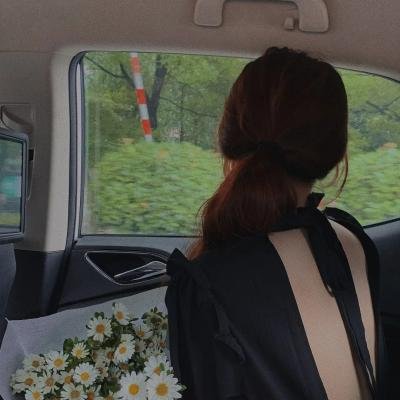 洗冤录之西夏铁棺